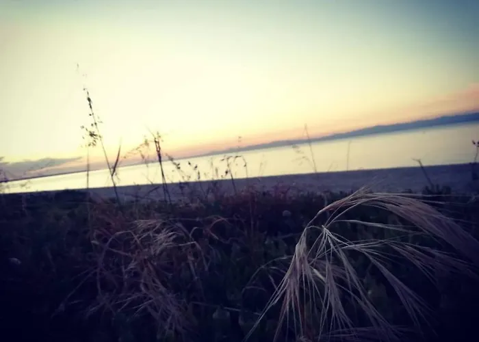 Christina Sea Side Hotel apartamentowy Hanioti