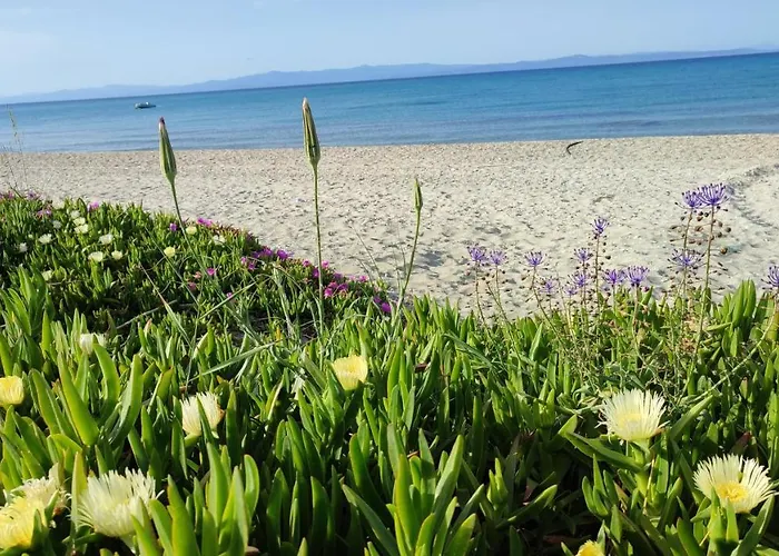 Christina Sea Side 3*