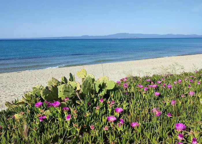 Christina Sea Side Hotel apartamentowy Hanioti