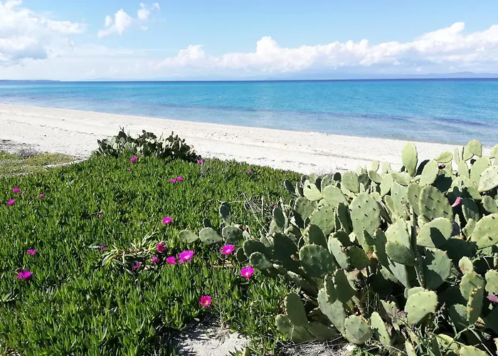 Christina Sea Side Hotel apartamentowy 3*