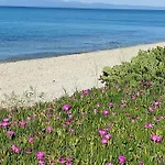 Christina Sea Side A 3*