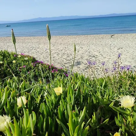 Christina Sea Side A 3*