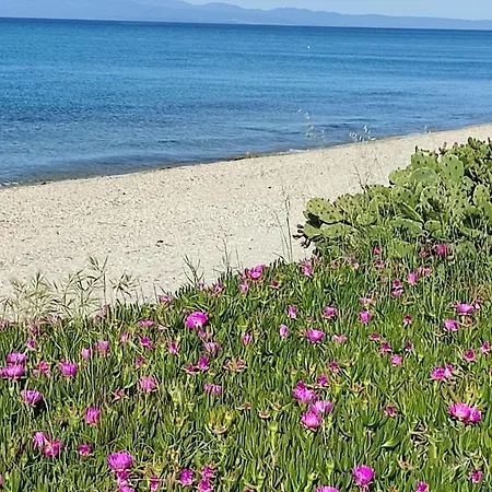 Christina Sea Side *