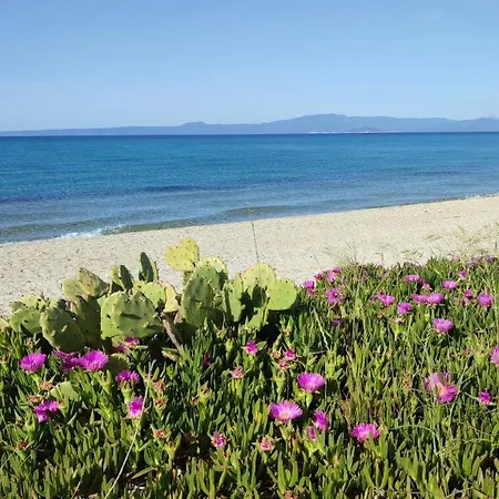 Christina Sea Side Lejlighed Hanioti